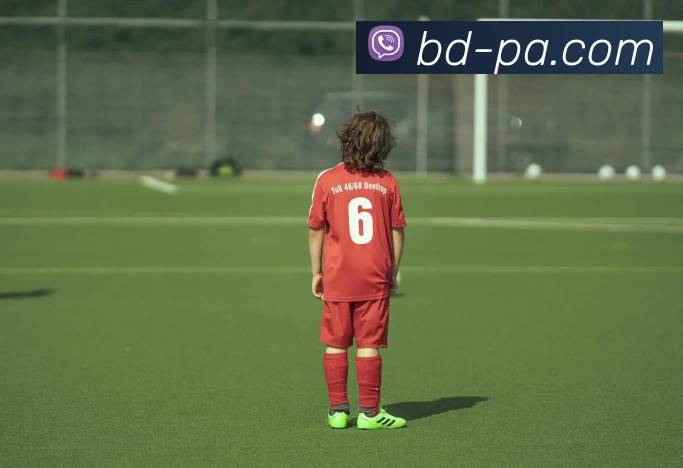 PA真人官网平台生态图